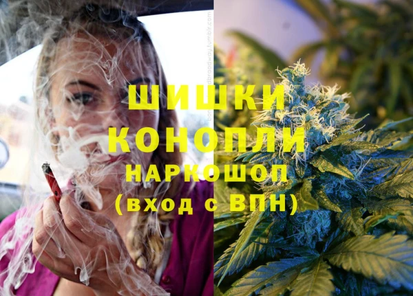 индика Богданович